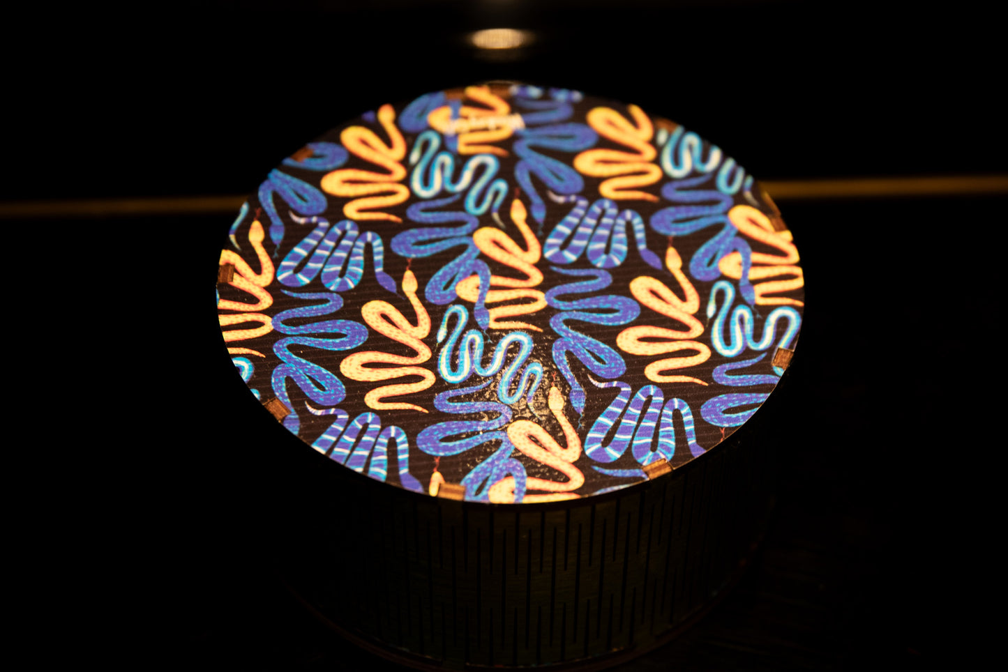 Believe (with Snakes!) Round Box