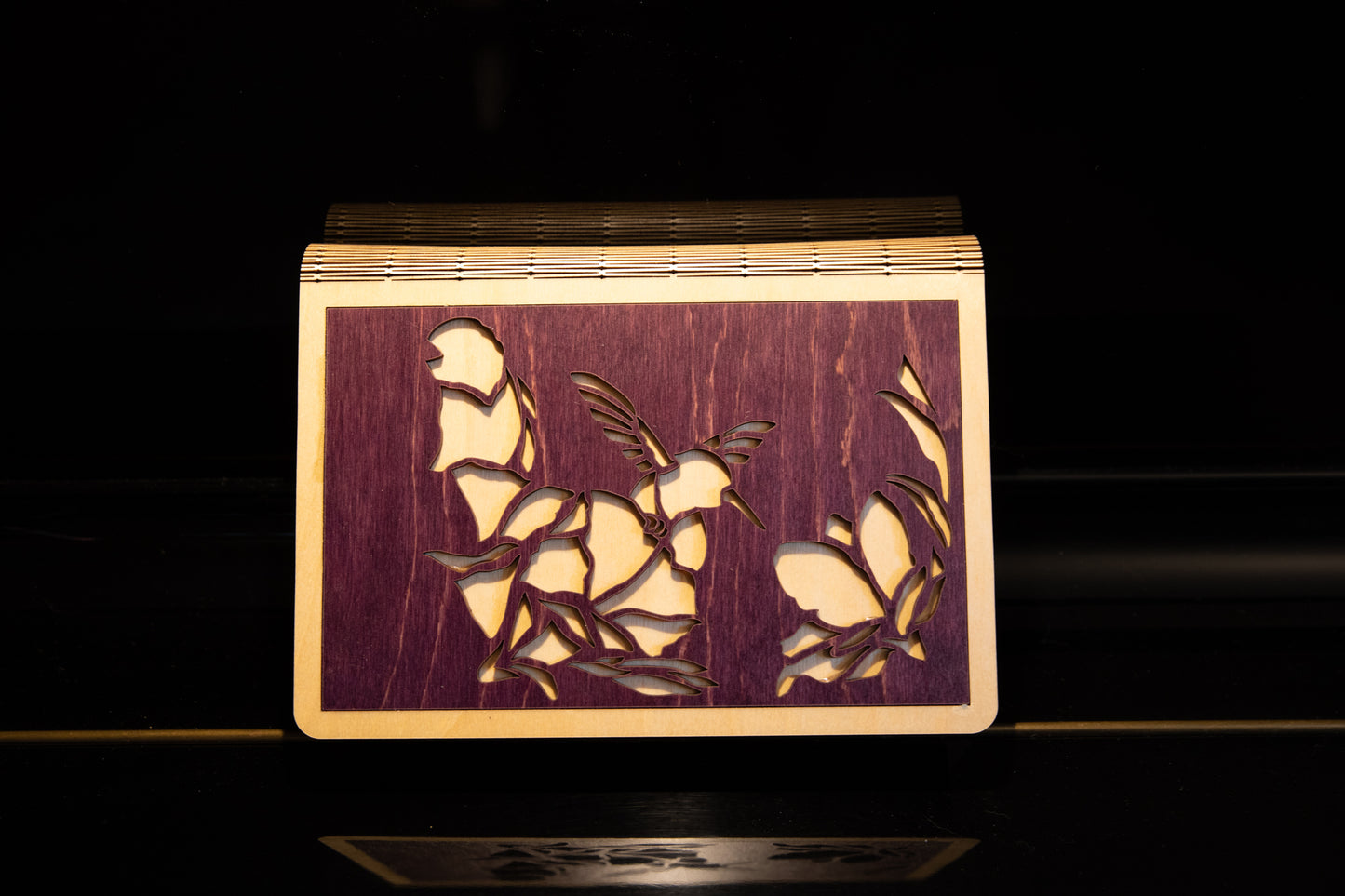 Hummingbird Box in a Book