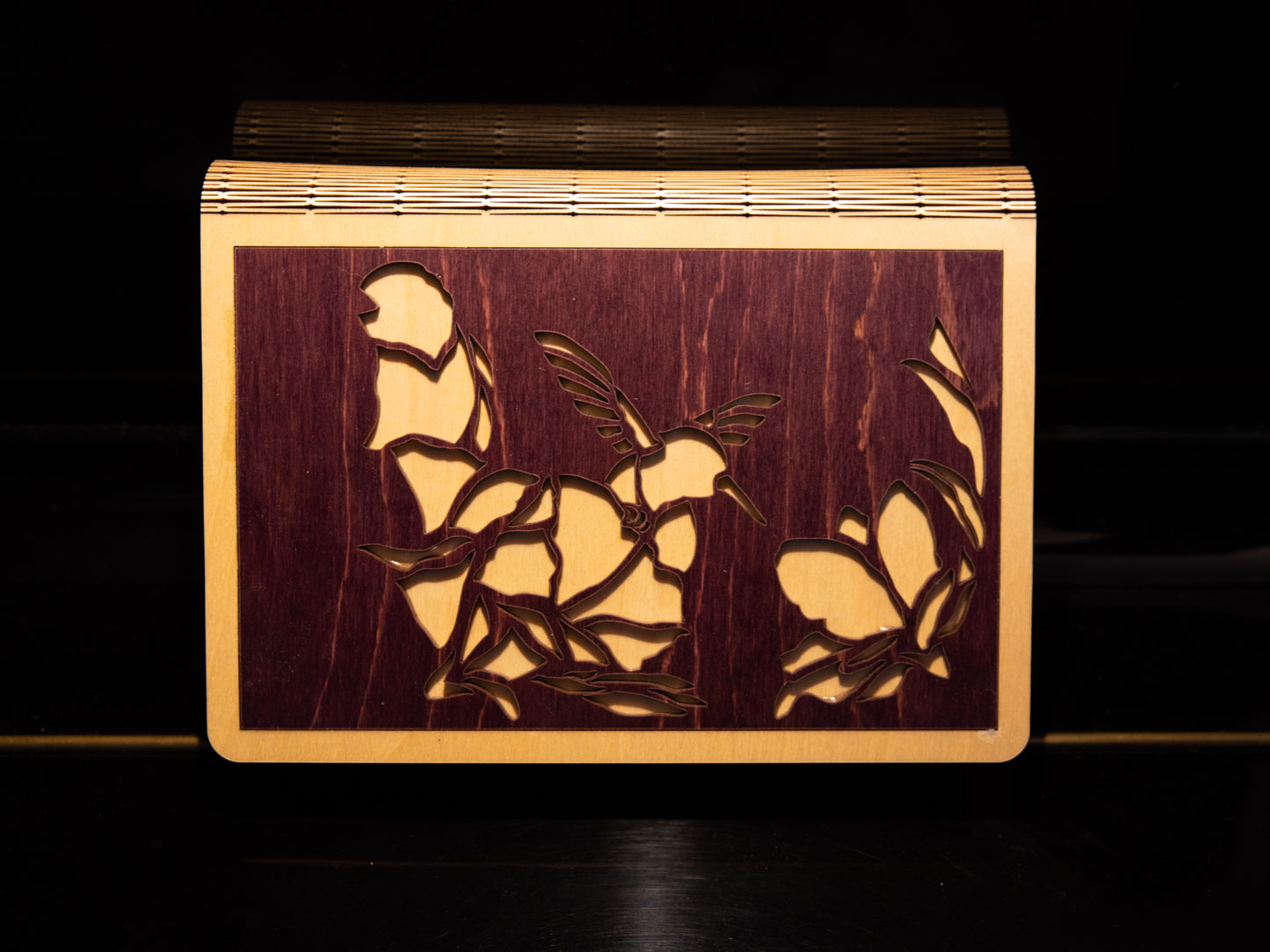 Hummingbird Box in a Book